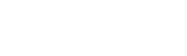 WiseSoft Logo