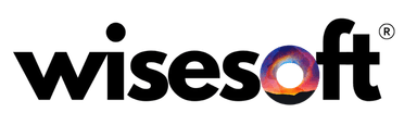 WiseSoft Logo